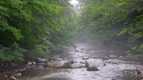 Misty Rocky Stream Stock Footage 306805666