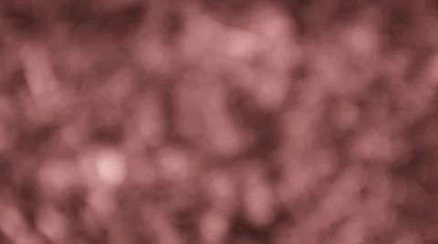 Misty rose gradient blurred abstract background for romantic design Stock Photos