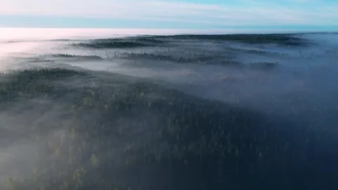 Misty Scandinavian forest at dawn Stock Footage 286712243