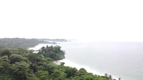 Misty sea meets emerald forest edge Stock Footage 345417909