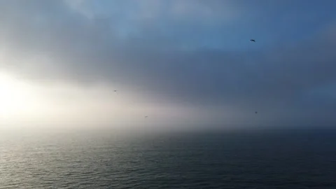 Misty Seascape at Dawn with Dramatic Clouds, North Sea, Winter, Netherlands Stock Footage 295936839