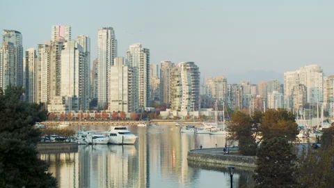 Misty skyline over lake Stock Footage 298319180