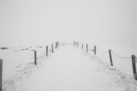 A misty snowy path. Stock Photos