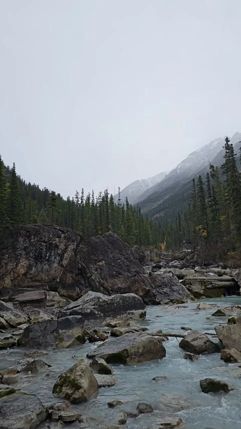 Misty Stream 動画素材 295959046