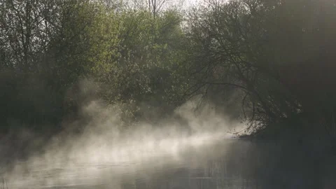 Misty stream in a rain forest. Green version. Early morning sunlight illuminates Stock Footage 131163052