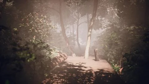 Misty stroll through the thick tropical jungle Stock Illustration