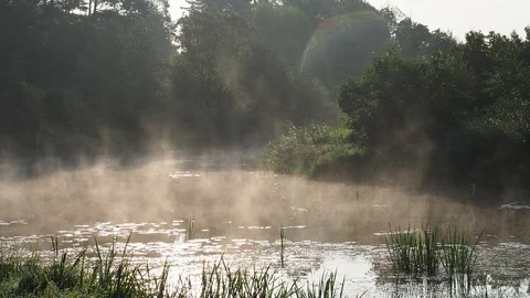 Misty summer dawn on river Stock-Footage 114630276