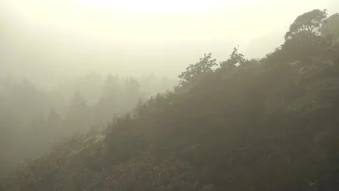 Misty Sun and Trees From Small Mountain of Valley with Fields Stock Footage 232051919