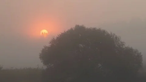 Misty sunrise. Video stock 79832552