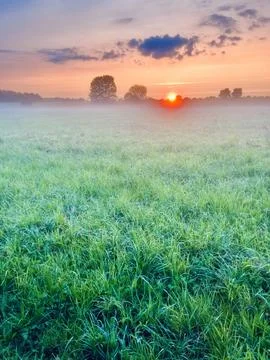 Misty sunset in the field Foto stock