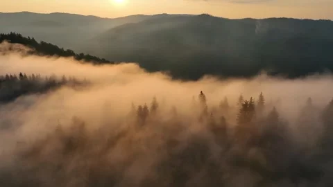 Misty Sunset Over Pine Forested Hills -  Paltinu Suceava. Slow motion Stock Footage 287307584