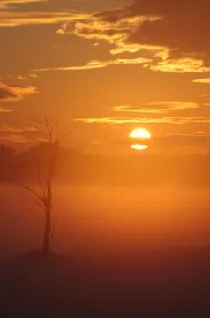 Misty sunset Stock Photos