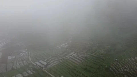 Misty Terraced Fields in Fog Stock Footage 280018201