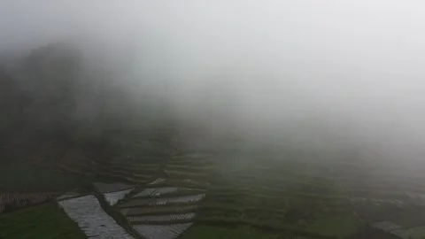 Misty Terraced Fields in Fog Stock Footage 280096296
