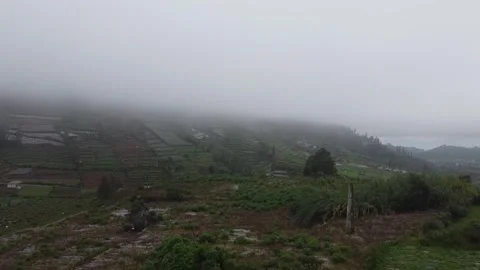 Misty Terraced Fields on a Hillside Stock-Footage 280096024