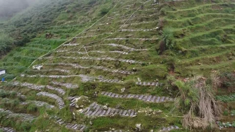 Misty Terraced Hillside with Pathways Stock-Footage 280018248