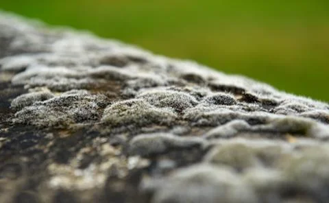 Misty texture. Stock Photos