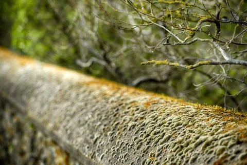 Misty texture. Stock Photos