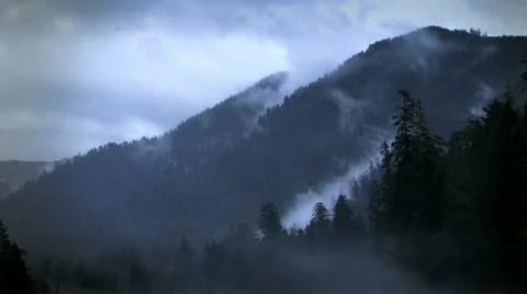 Misty time lapse clouds blanket a pine tree forest and mountain Stock Footage 11348851