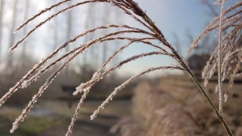 Misty Trail 3 Stock Footage 72542593