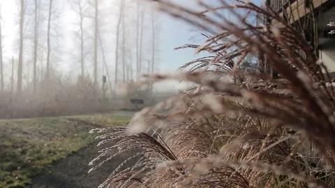 Misty Trail 5 Stock Footage 72542632