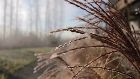 Misty Trail Rack Focus Stock Footage 72542647