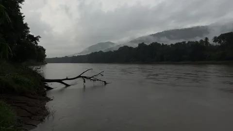 Misty tropical river flowing through rainforest mountains during monsoon in 4K Stock Footage 341512262