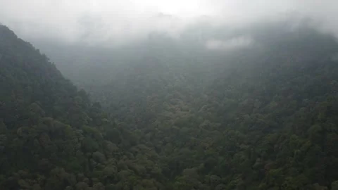 Misty Valley Video stock 205427034