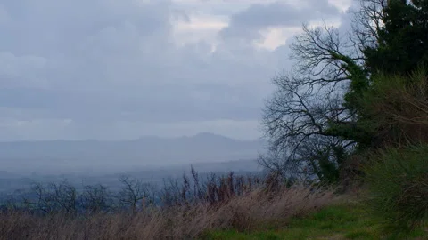 Misty Valley Panorama with Overcast Sky and Bare Winter Trees, Italian Countrysi Stock Footage 346084020