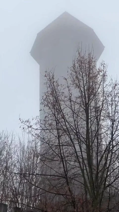 Misty View of Auerbach Schloss Tower Behind Bare Trees Stock Footage 328928088