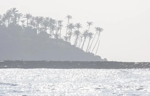 Misty view of Coconut Tree Hill with palm trees in Mirissa Sri Lanka Stock Photos