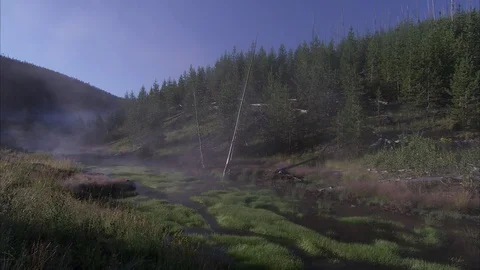 Misty View of Forest and River Stock Footage 86755523