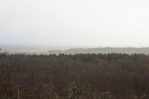 A misty view Stockfoto's