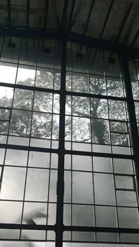 Misty View Through Large Windowpanes Stock Photos