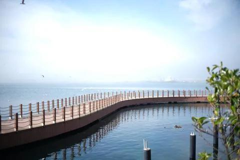 A misty walking path. 库存照片