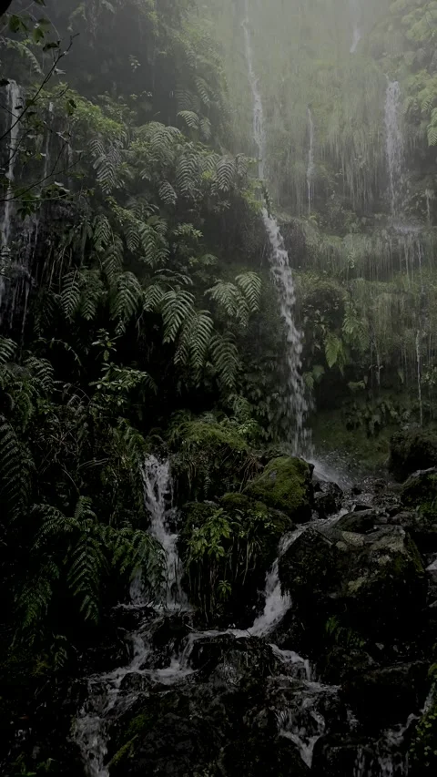 Misty waterfall cascades down lush greenery at Levada das 25 Fontes Stock Footage 310024578
