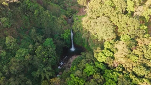 Misty waterfall cascades through dense, vibrant jungle foliage Stock Footage 340273937