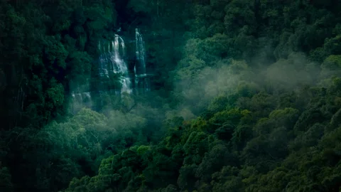 Misty waterfall hidden in dense rainforest canopy of Meghalaya India Stock-Footage 341111599