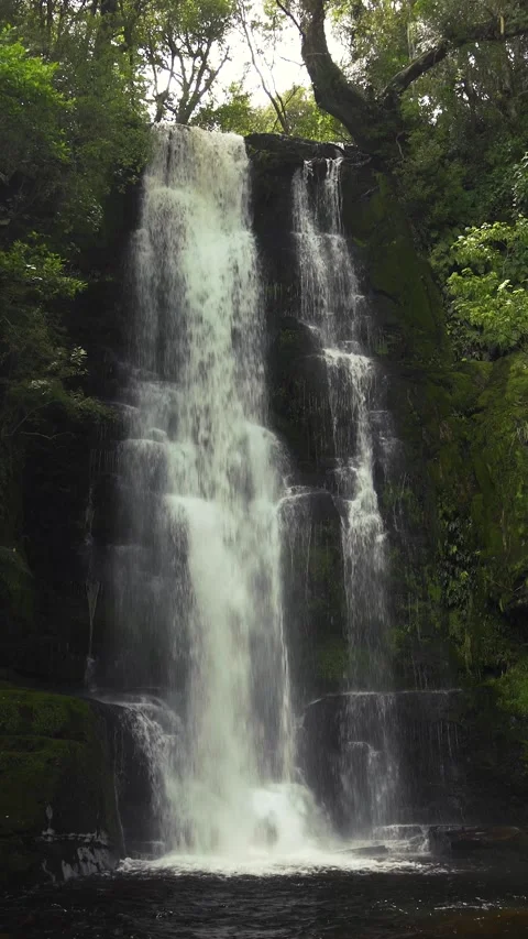 Misty waterfall located in the middle of the rainforest Stock Footage 288496236