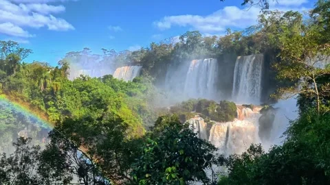Misty Waterfalls Surrounded by Lush Forest on Argentina’s Iguazú Lower Circuit Video stock 342274095