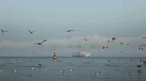 Misty weather ferry passing through Bosporus Stock Footage 34449548