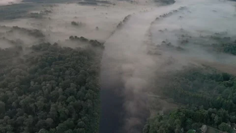 Misty winding river in a forest area before sunrise at dawn 스톡 동영상 138133591