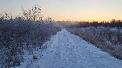 Misty winter dawn on the lake Stock Footage 230049340