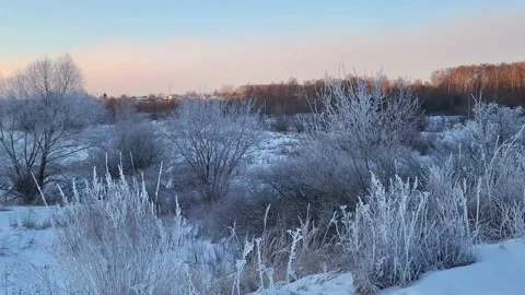 Misty winter dawn on the lake Stock Footage 230049494