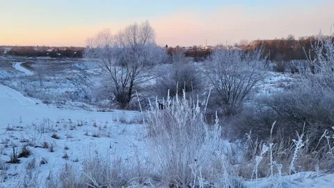 Misty winter dawn on the lake Stock Footage 230049533
