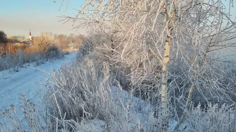 Misty winter dawn on the lake Stock Footage 230049646