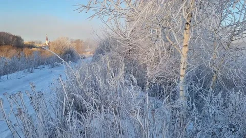 Misty winter dawn on the lake Stock Footage 230049657