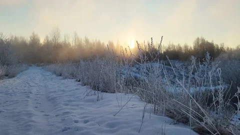 Misty winter dawn on the lake Stock Footage 230050049
