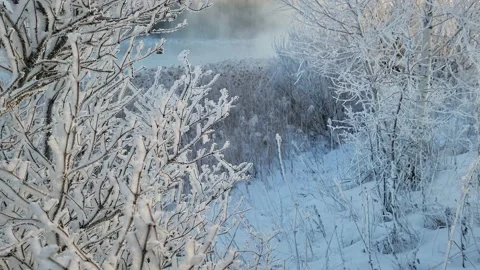 Misty winter dawn on the lake Stock Footage 230050145