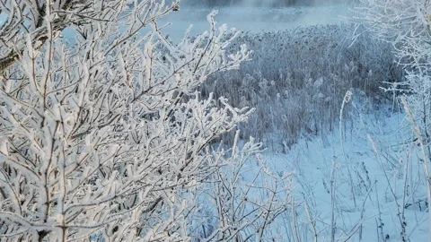 Misty winter dawn on the lake Stock Footage 230050165